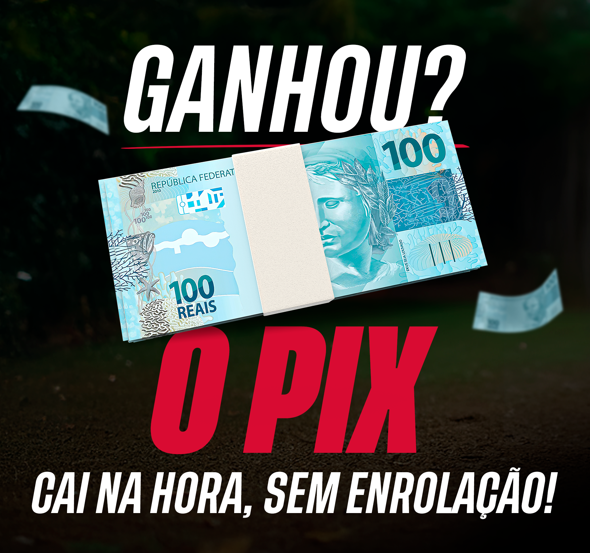 Receba seu prêmio na hora via pix. Bicho77